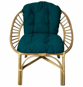 Кресло RJG-Princess (Ротанг №4, ткань JPN DRILL 034) в Нерюнгри - mebel154.com