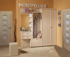 Шкаф для обуви 1 Montpellier в Нерюнгри - mebel154.com