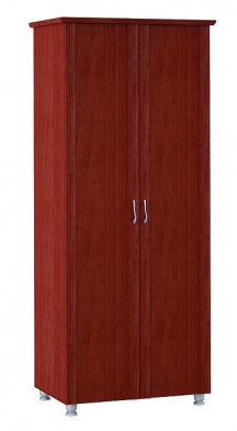 Шкаф для одежды 2-х дверный 3 Элегия в Нерюнгри - mebel154.com