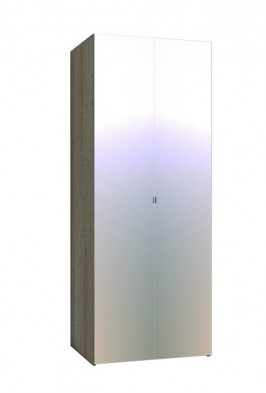 Шкаф для одежды 2-х дверный 35-3 WYSPAA в Нерюнгри - mebel154.com