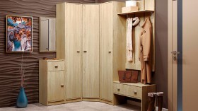 Шкаф для одежды Тифани-1 в Нерюнгри - mebel154.com