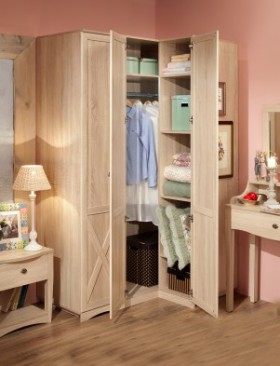 Шкаф для одежды угловой 14 Adele в Нерюнгри - mebel154.com