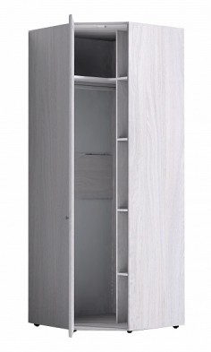 Шкаф для одежды угловой 56-2 Paola в Нерюнгри - mebel154.com