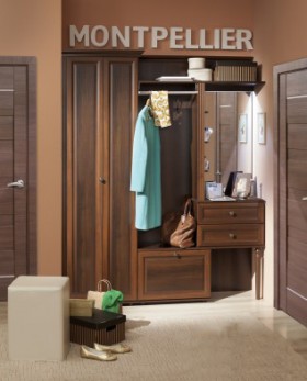 Шкаф для прихожей МЦН 2 Montpellier в Нерюнгри - mebel154.com